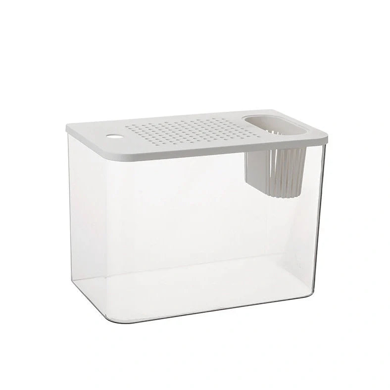 Black ecological betta tank with cover measuring 32cm wide by 18.5cm deep on living room shelf