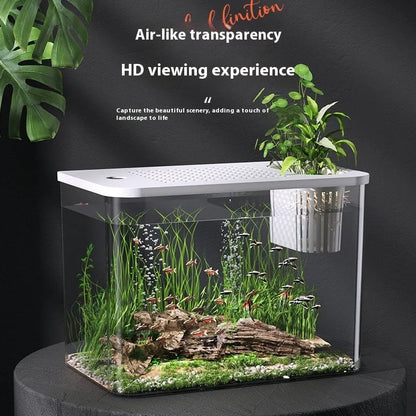 Black ecological betta tank with cover measuring 32cm wide by 18.5cm deep on living room shelf