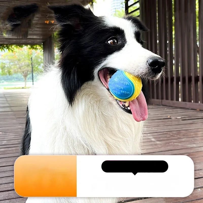 TPR dog training ball with sounding feature in assorted colours including red blue and luminous options