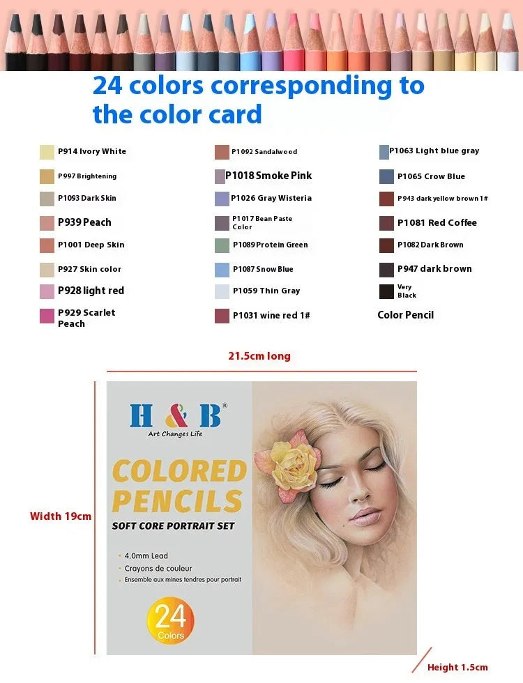 Set of 24 skin tone colour art pencils and HB refills in a round iron box brush pot.