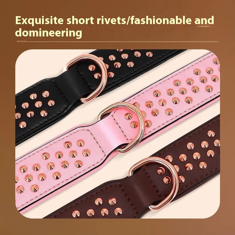 Leather dog collar with metal rivets in chocolate colour, showing rivet spacing and buckle detail