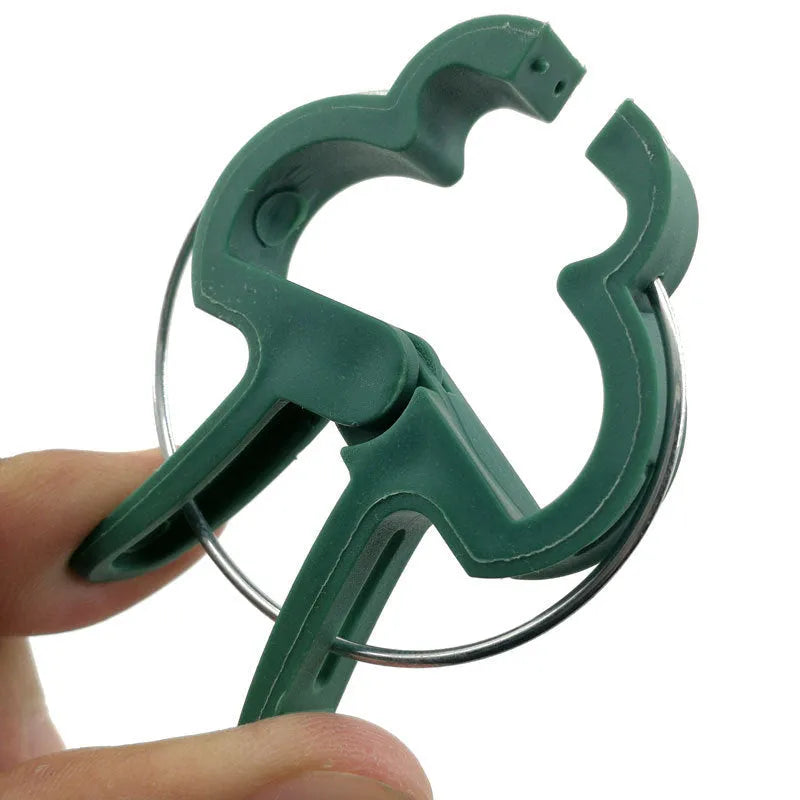 Green plastic plant fixing clips, large and small sizes, holding a tomato stem to a garden cane.