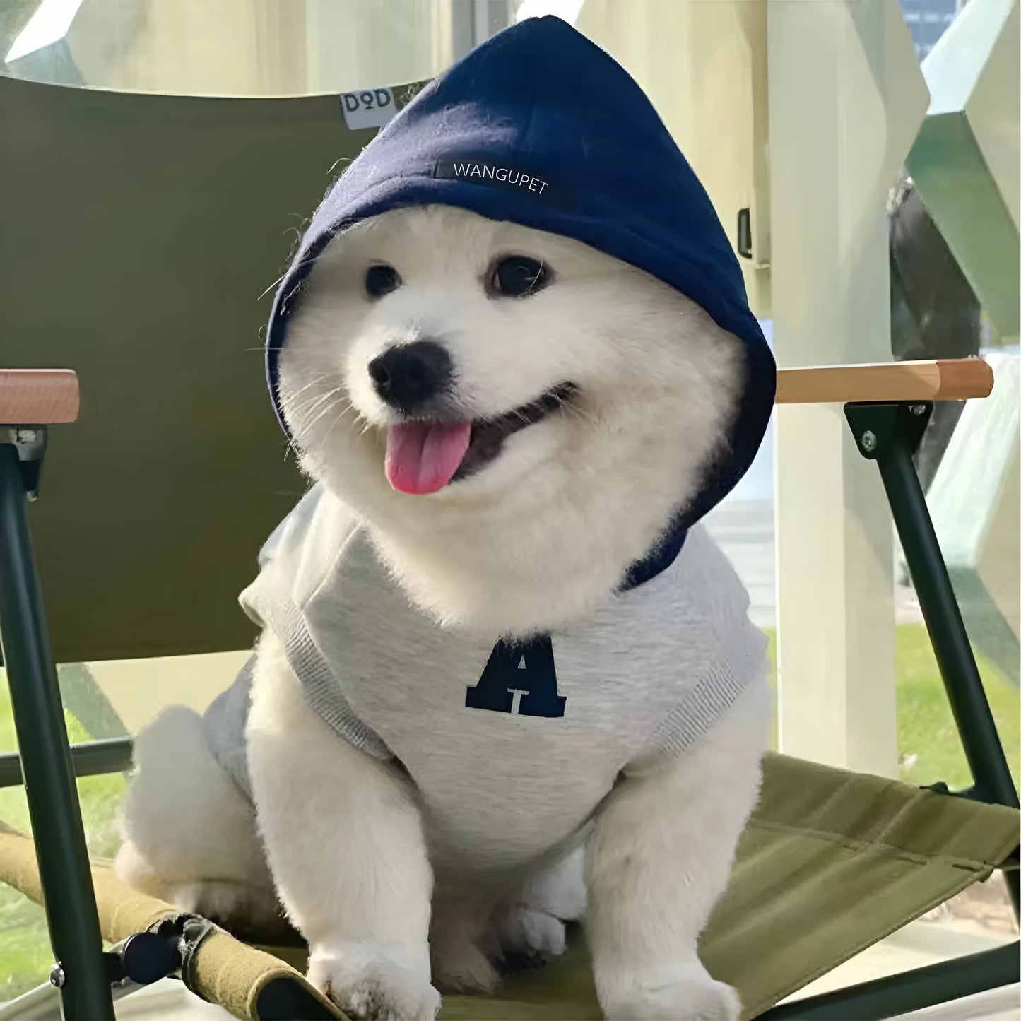 Blue and grey white slim-fit pet hoodie with reflective letters for dogs and cats.