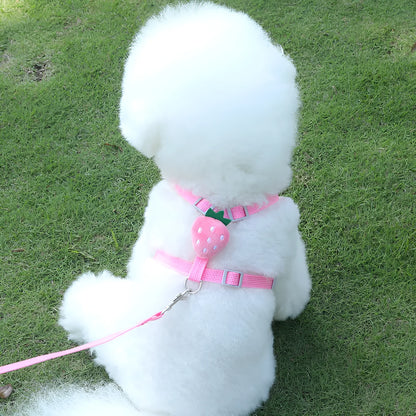 Reflective vest-style dog harness with detachable lead in carrot colour for small dogs