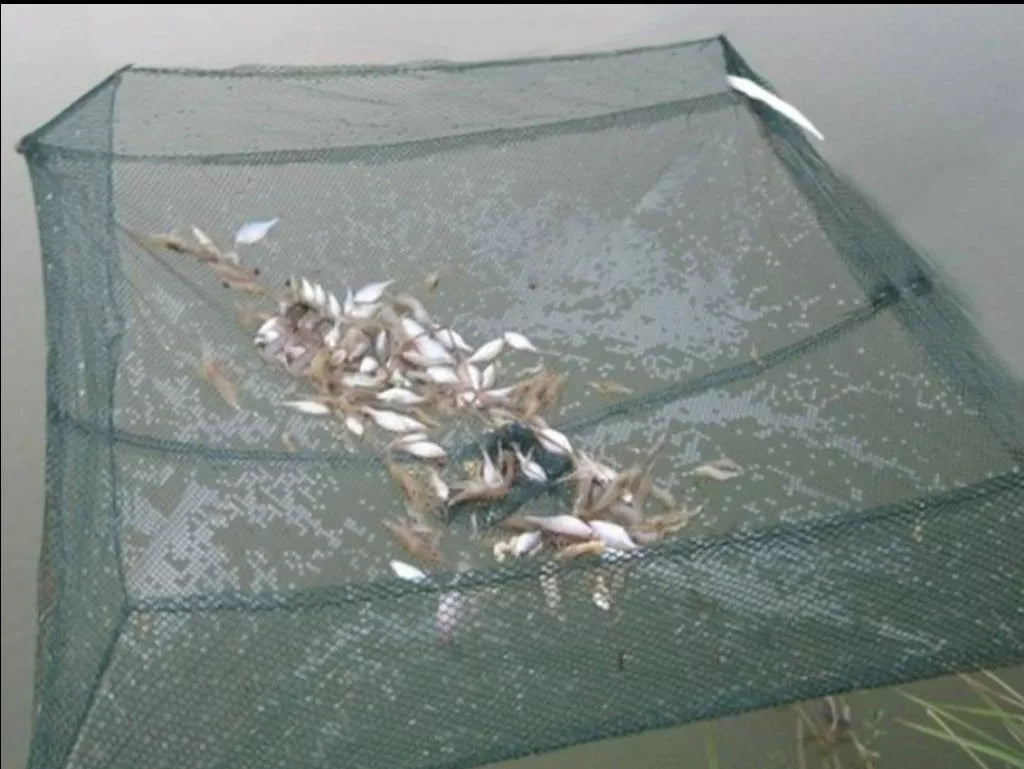 Green nylon pull-out fishing net, 60x60cm, durable and lightweight for efficient angling