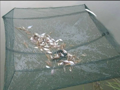 Green nylon pull-out fishing net, 60x60cm, durable and lightweight for efficient angling