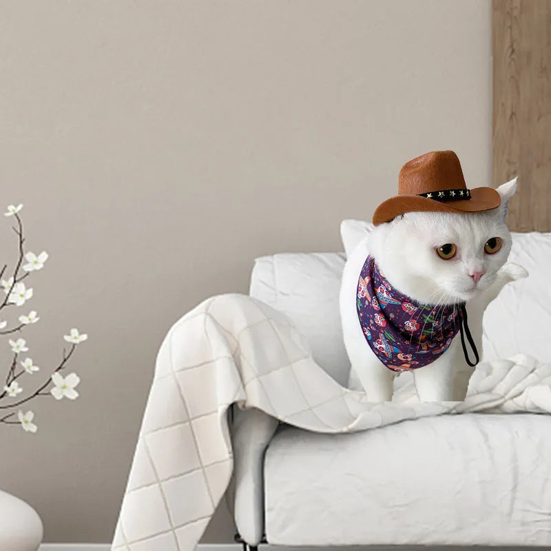 A black pet cowboy hat with a white star on the front, shown with its adjustable elastic strap.