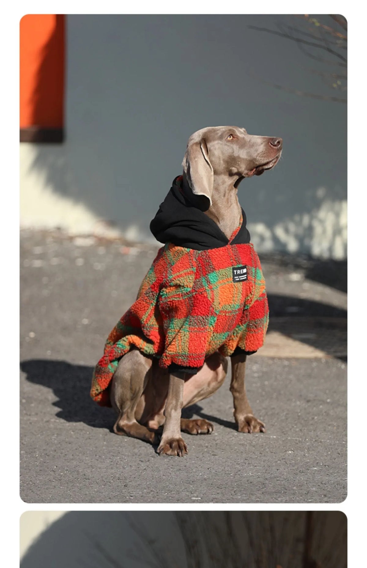Thick warm large dog coat in orange grid or green stripe, sizes M-XXXL and No.7-12