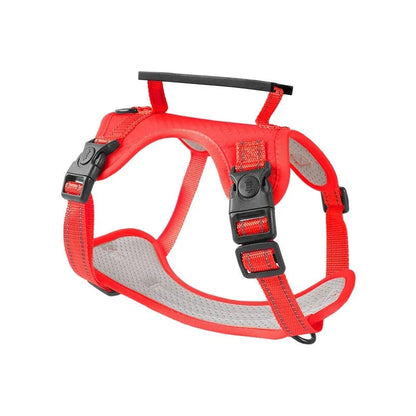 Adjustable polyester dog harness with front D-ring in Lake Blue colour on medium-sized dog