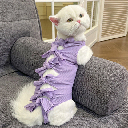 Lace-up cat sterilisation clothing in blue colour on cat showing adjustable back fastening and full-body coverage