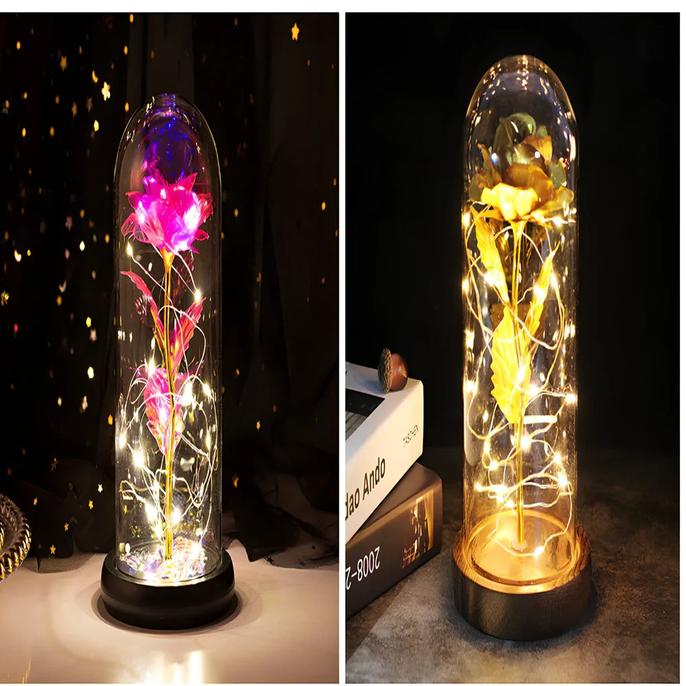 Little Prince rose arrangement under 20x9cm glass dome with gold foil flowers