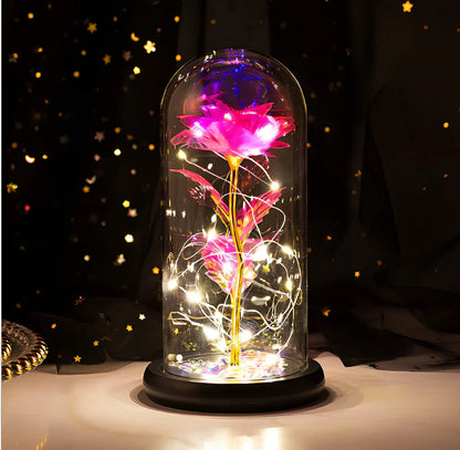 Little Prince rose arrangement under 20x9cm glass dome with gold foil flowers