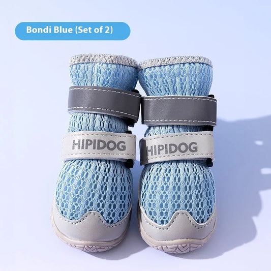 Dog shoes with breathable anti-scald design in Bondi Blue colour, showing wear-resistant PU construction and proper fit on dog paws