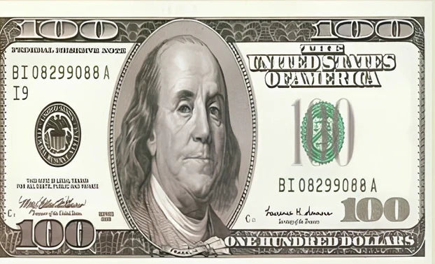 Fashion carpet with retro dollar print design available in multiple sizes from 40x75cm to 80x200cm for creative entrance and corridor floor covering solutions