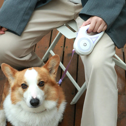 Retractable dog leash with automatic lock in Dream Purple, Sunshine Orange, and Mint Green