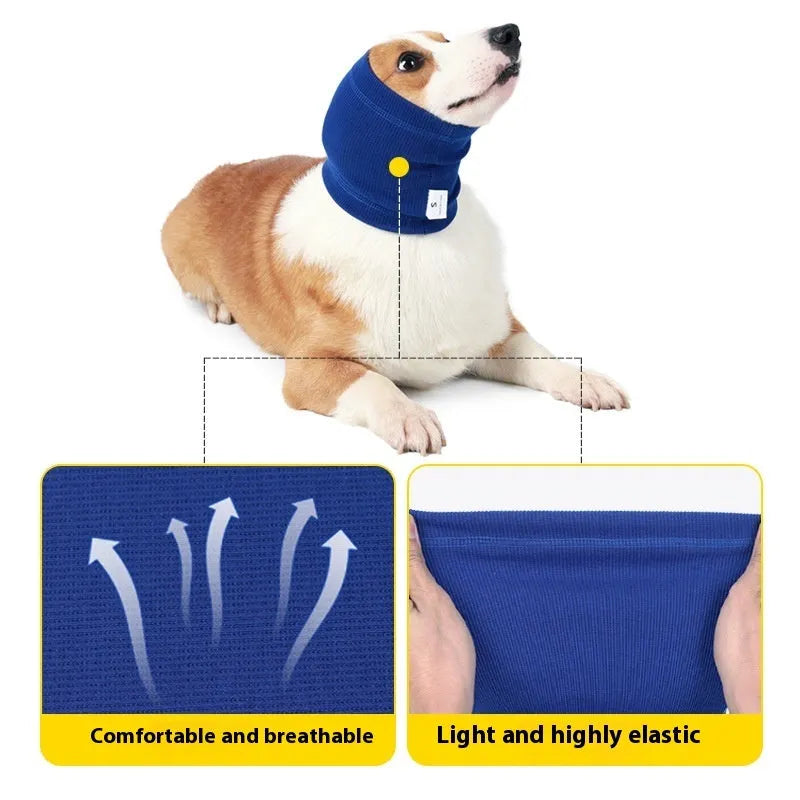 A blue polyester headband scarf for a dog, shown on a medium-sized breed.