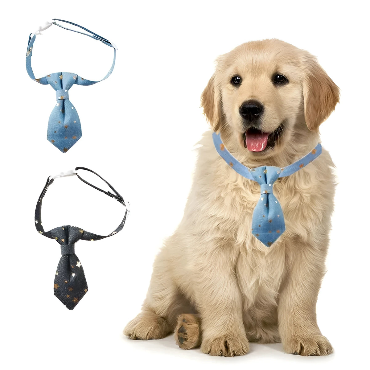Designer dog collar with long tie and golden star, adjustable S 14-20cm or M 19-32cm, black or blue