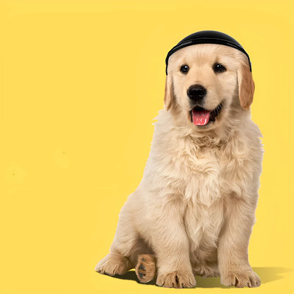 Small S size plastic pet motorcycle helmet for dogs in four colour options