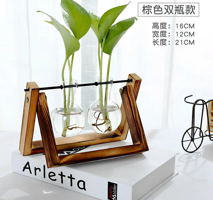 Glass tabletop plant with LED lighting showing colour-changing effects in tempered glass enclosure