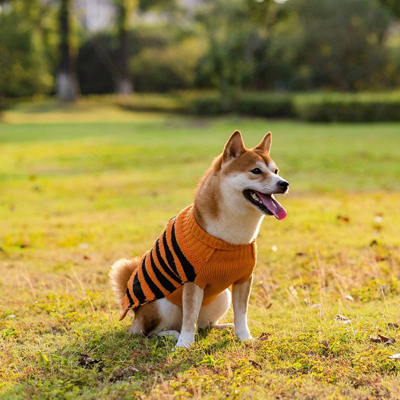 Halloween dog sweater in orange and black designs for small to XL dogs