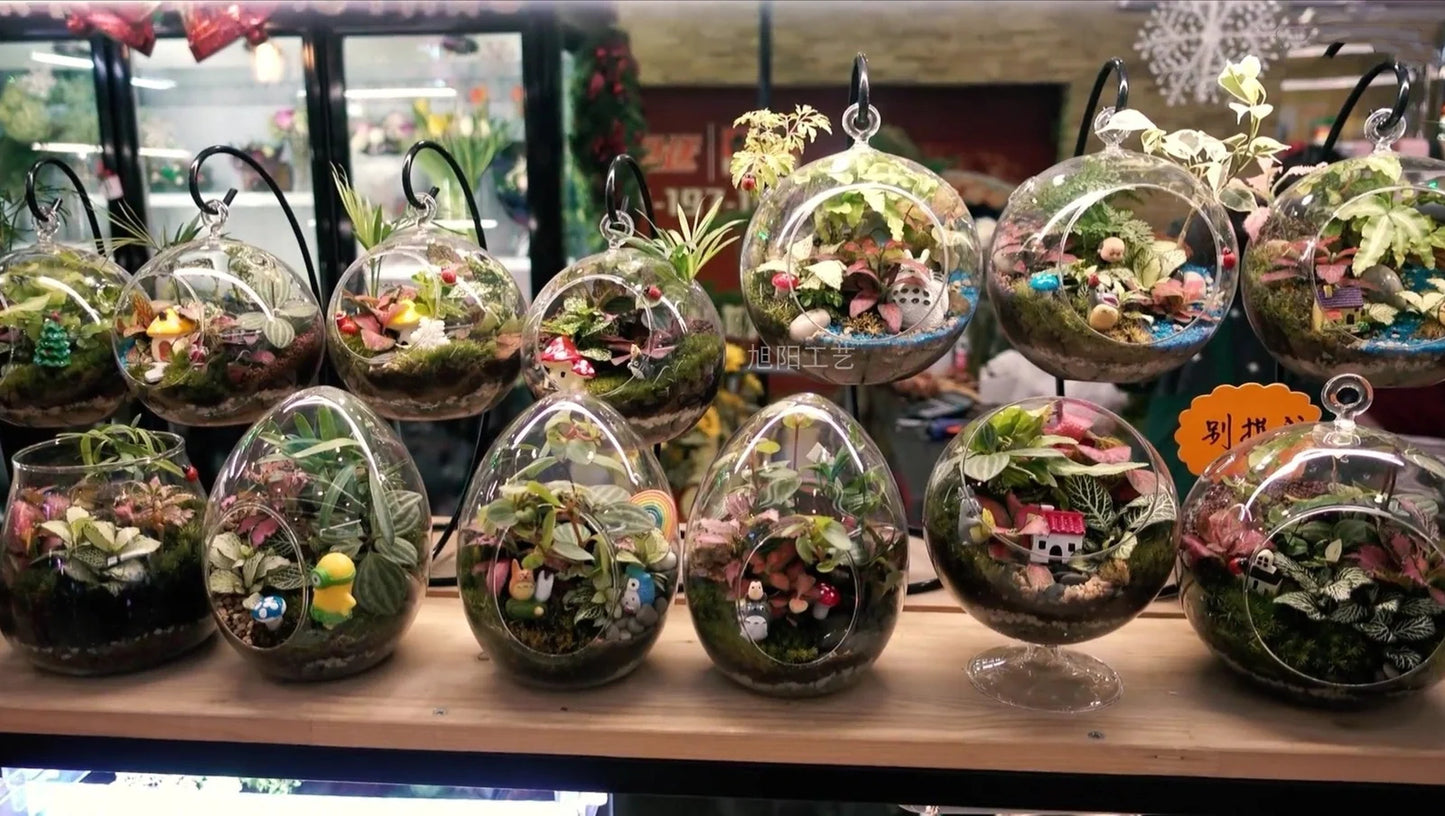 Transparent hand-blown glass vase container with flat bottom and hanging capability in four sizes