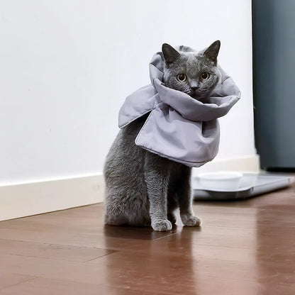 Soft blue adjustable Elizabethan recovery cone collar for a cat or small dog on a white background.