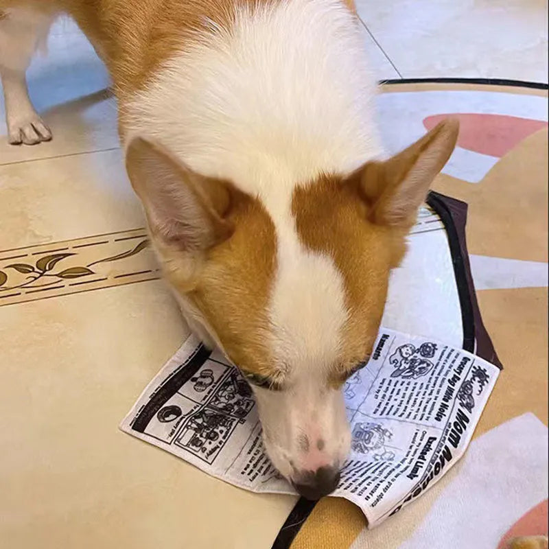 Tearproof squeaking dog toy with printed newspaper and playing card designs