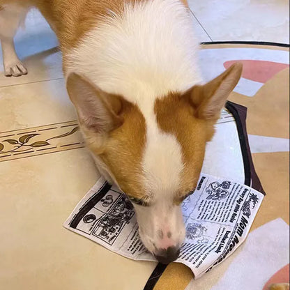 Tearproof squeaking dog toy with printed newspaper and playing card designs