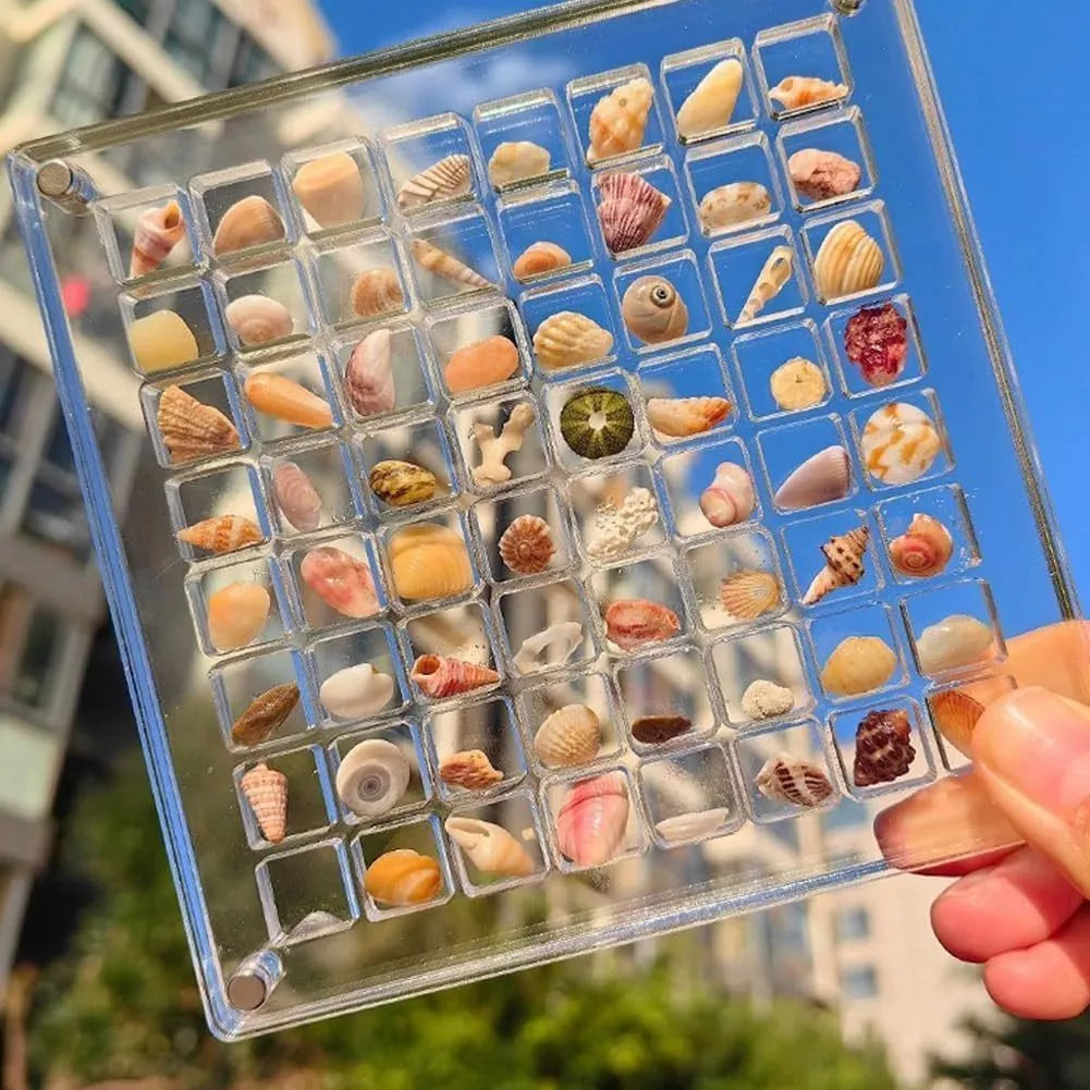 Acrylic magnetic seashell and jewelry organizer box with 36 or 64 grids for versatile storage