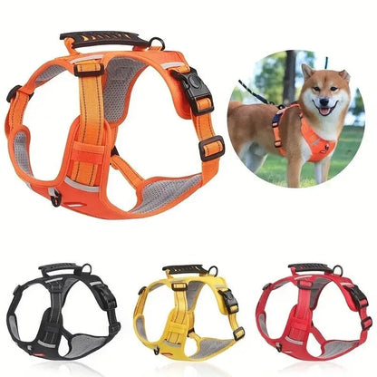 Adjustable polyester dog harness with front D-ring in Lake Blue colour on medium-sized dog