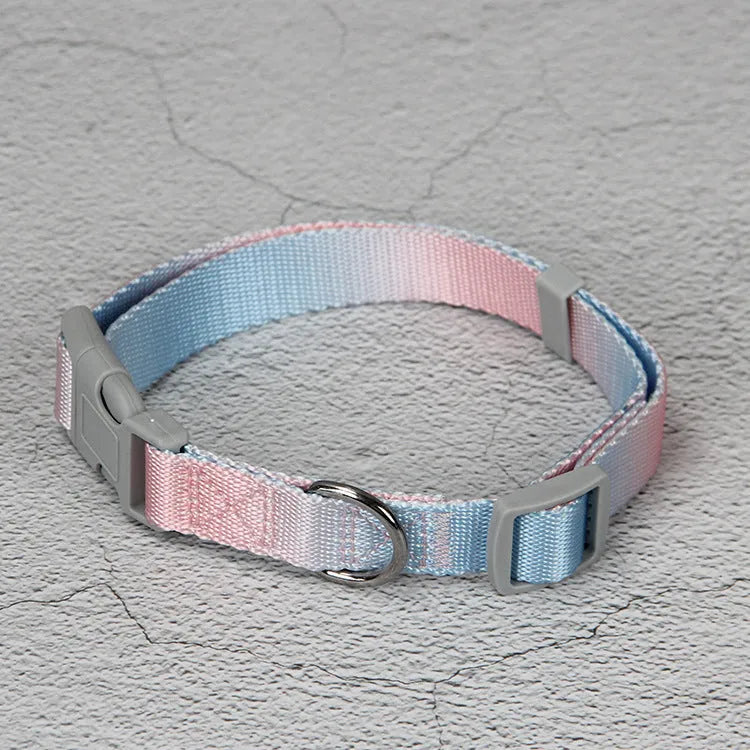 Gradient colour nylon dog leash showing pink-blue colour transition with metal attachment clip