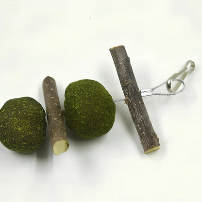 Pet molar supplies with 5 grass balls and 6 apple branches hanging for small animal dental care