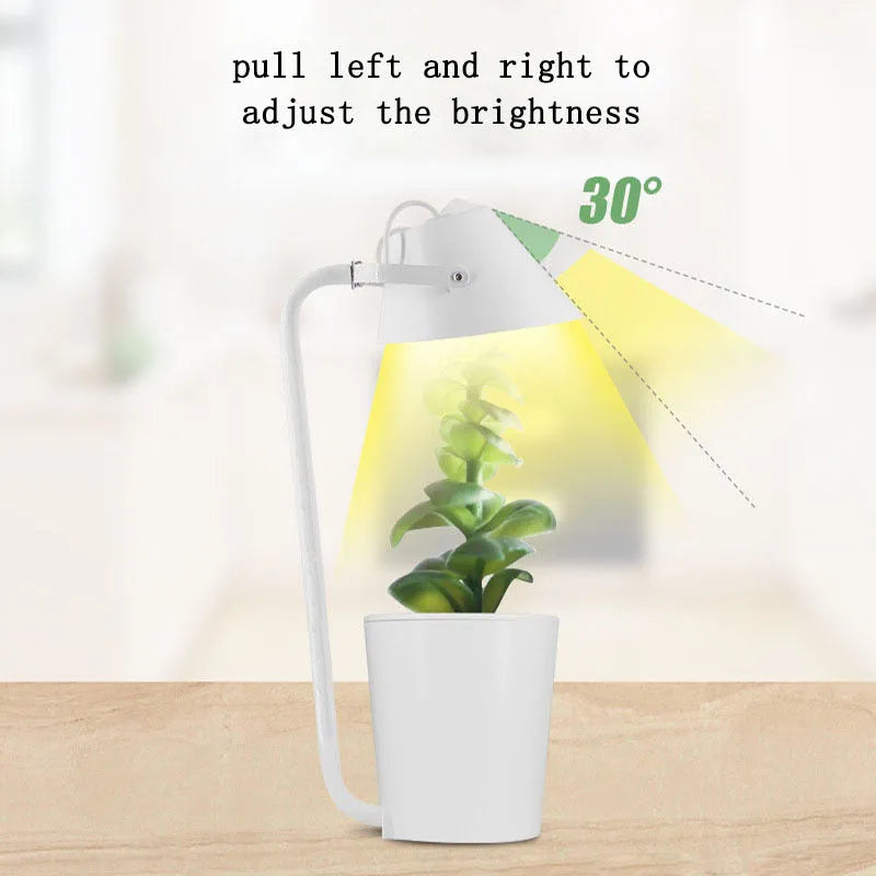 White plastic hydroponic container for desktop soilless plant cultivation with international size compliance
