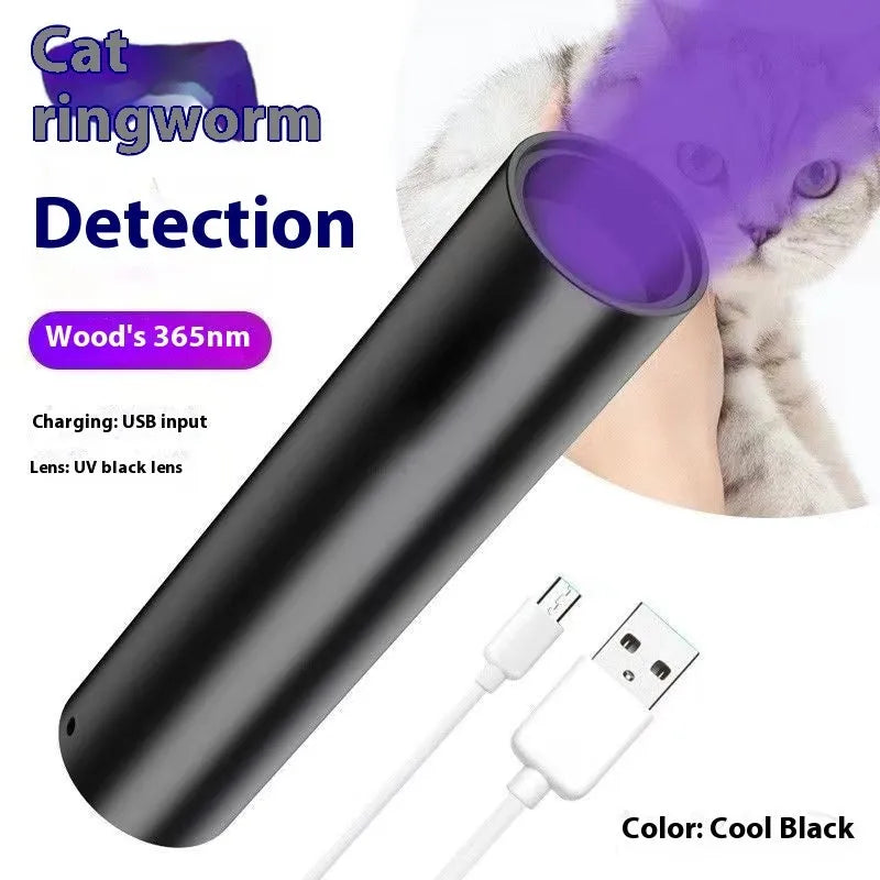 5W UV flashlight torch in aluminium alloy or ABS plastic with 365nm or 395nm purple light and XPE white light options