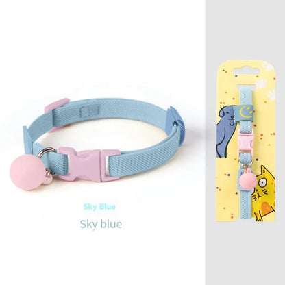 Small dog wearing elastic polyester collar in sky blue colour, showing stretch fit around neck