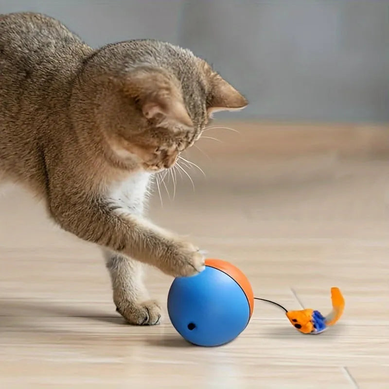 Interactive cat toy ball with blue and orange plush mouse measuring 8.5cm × 8.5cm × 9cm