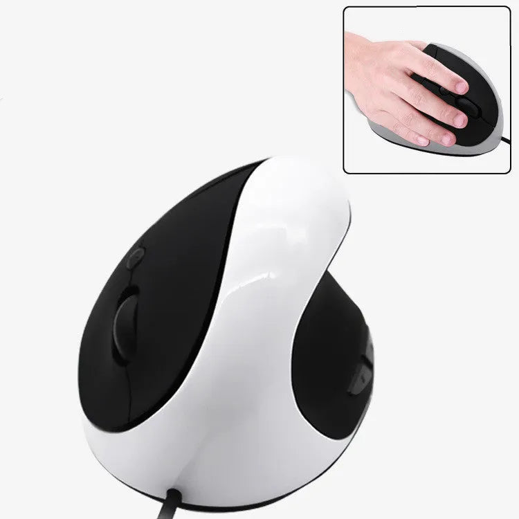 Ergonomic vertical wired computer mouse in black colour showing side profile
