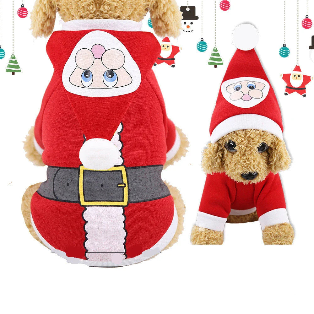 Cozy Canine Couture: Premium pet clothing collection featuring stylish and comfortable designs for your furry friend