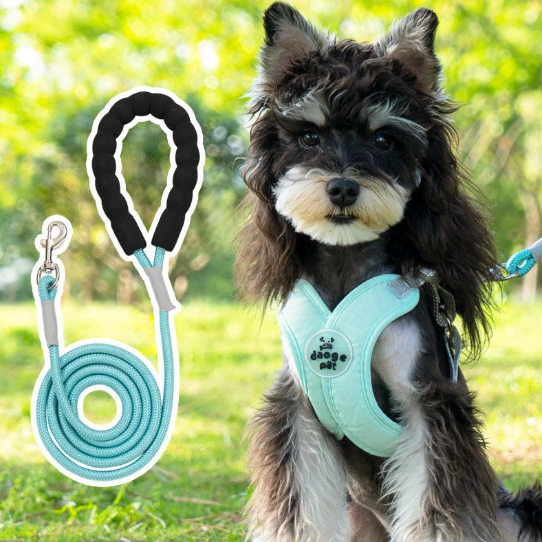 Adjustable pet vest with hand holding rope in blue, green, pink, or yellow colours