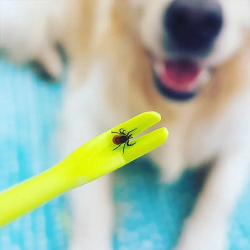 Three blue plastic tick removal hook tools for pets on a white background.