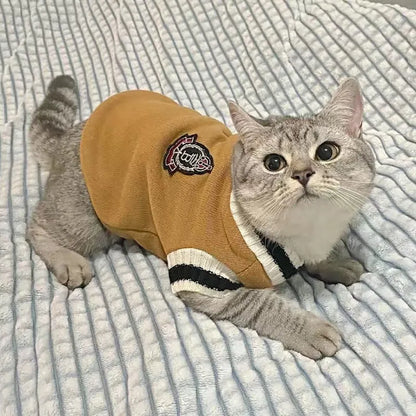 Cat wearing winter jumper with silver gradual collar in college style design