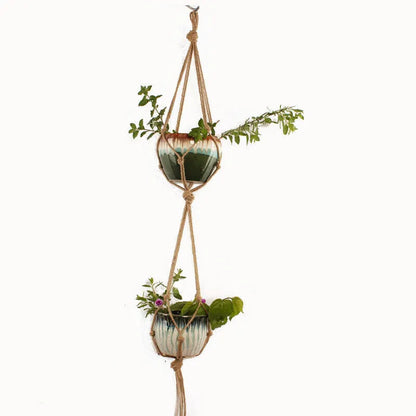 Woven wire lattice plant holder with natural cotton rope, shown in a rustic style supporting a green plant.
