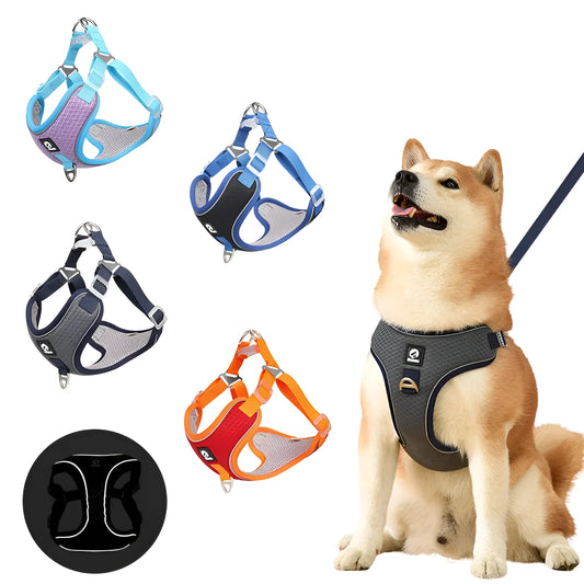 Adjustable mesh dog harness with reflective piping in black, red, gray, and light purple colours