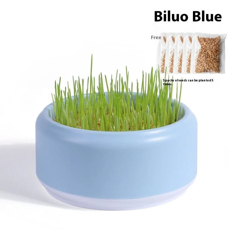 Blue hydroponic cat grass kit with growing cup and seed packets for soilless indoor planting