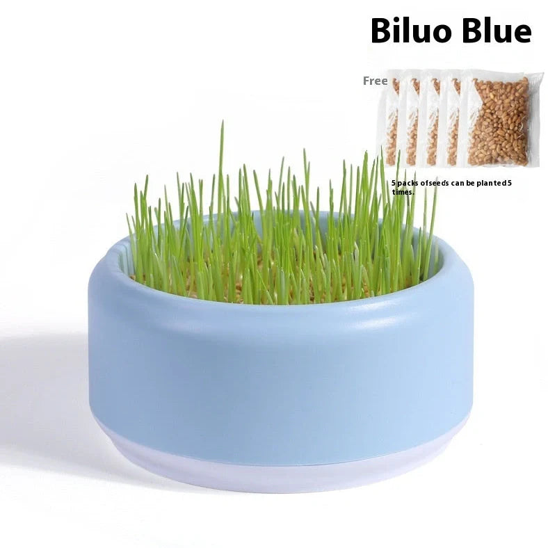 Blue hydroponic cat grass kit with growing cup and seed packets for indoor planting