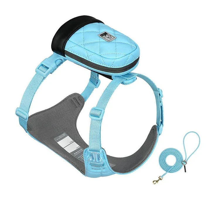 Eco-friendly pet harness set with durable, breathable mesh and adjustable leash for outdoor adventures