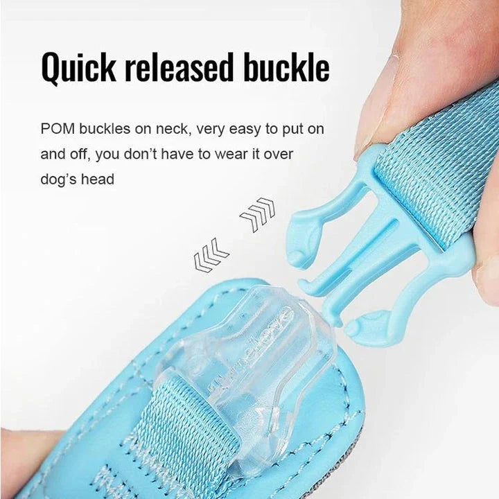 Eco-friendly pet harness set with durable, breathable mesh and adjustable leash for outdoor adventures