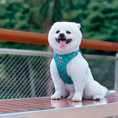 Eco-friendly pet harness set with durable, breathable mesh and adjustable leash for outdoor adventures