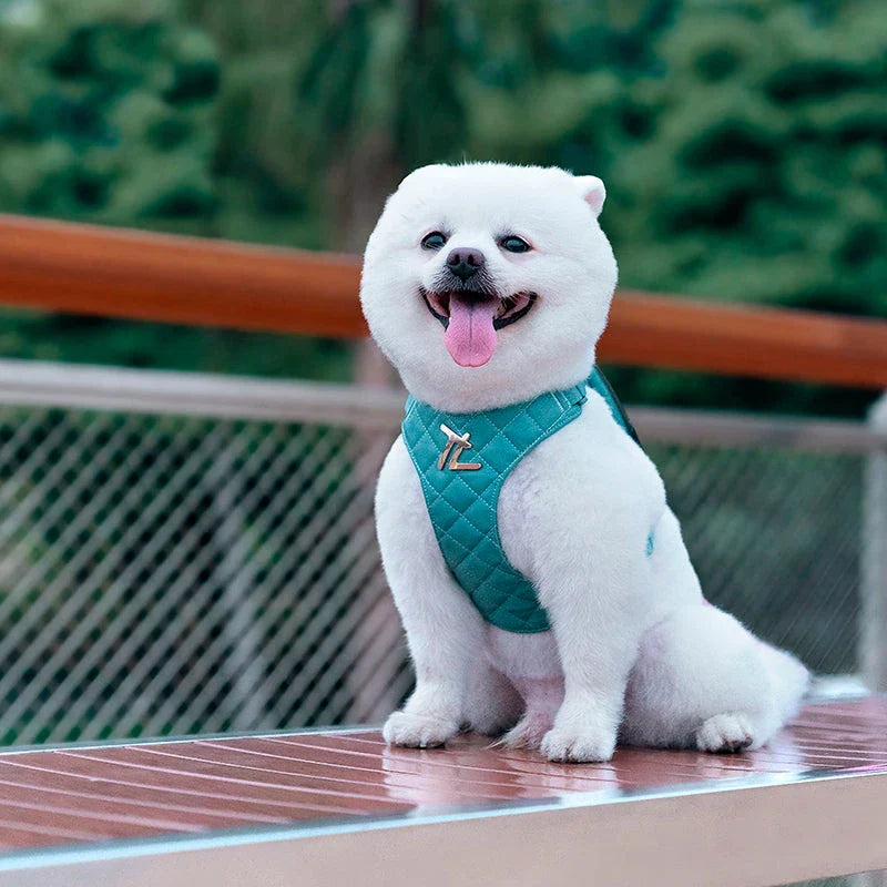 Hhomeenjoy  Eco-Friendly Pet Harness Set