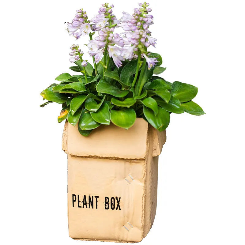 Square cement planter with matte finish and drainage holes, next to a small green plant.